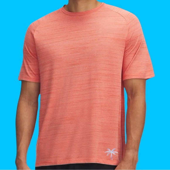 Trunks Beach Wear Other - NWT Graphic TSHIRT Swim Tee Shirt Men Quick Fast Dry Swim Beach Pool Summer Gift